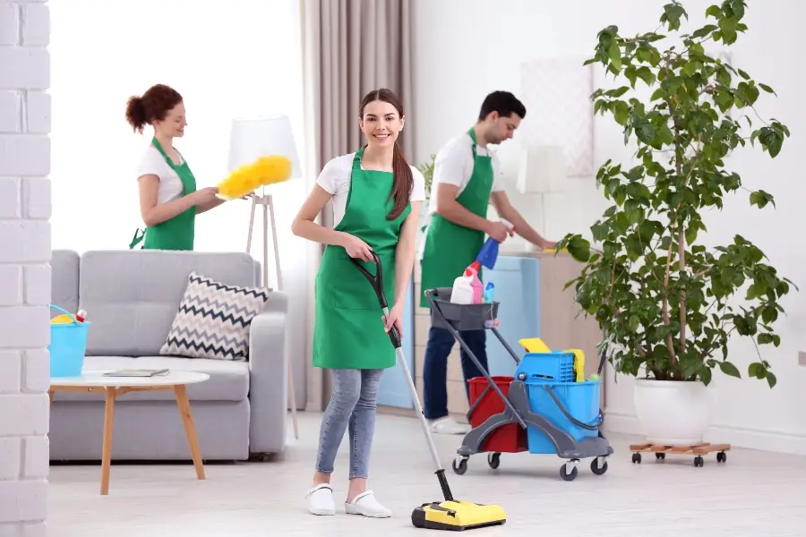 Cleaning Service Team Working in a Living Room